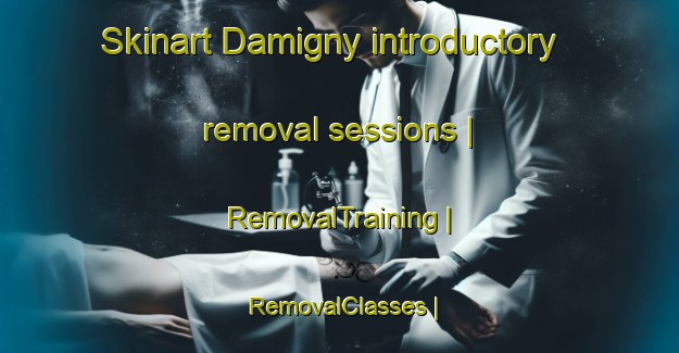 Skinart Damigny introductory removal sessions | RemovalTraining | RemovalClasses | SkinartTraining-France